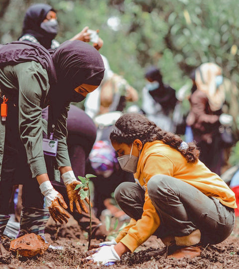 How Gardening Can Help You and Your Community Thrive