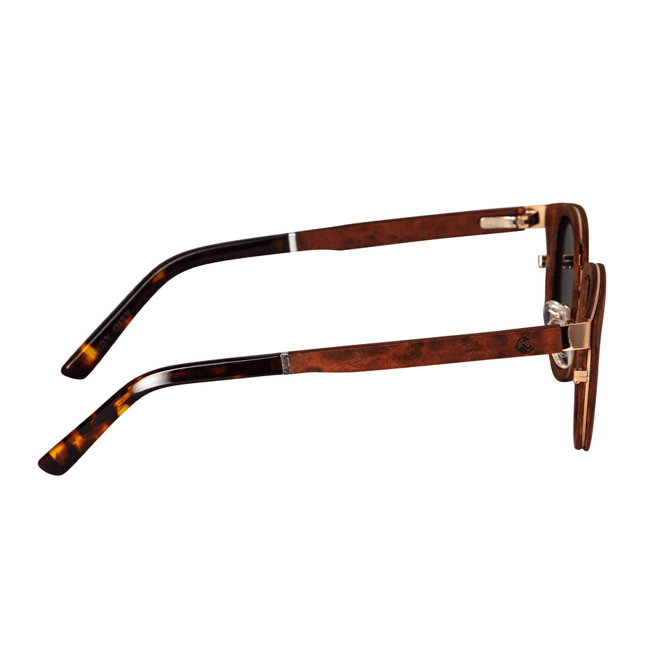 Side of wood sunglasses: brown wood arms, tortoiseshell acetate tips, gold accents at arm hinges